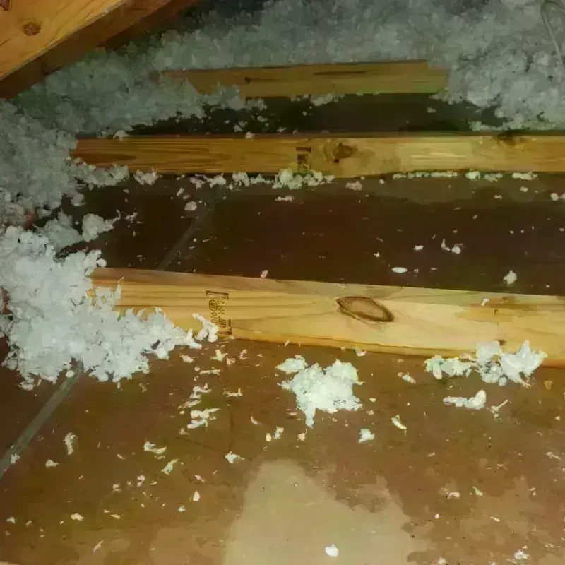 Attic Water Damage in Jersey Village, TX